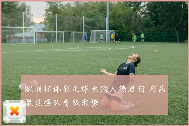 欧洲杯体彩足球竞猜火热进行 彩民聚焦强队晋级形势