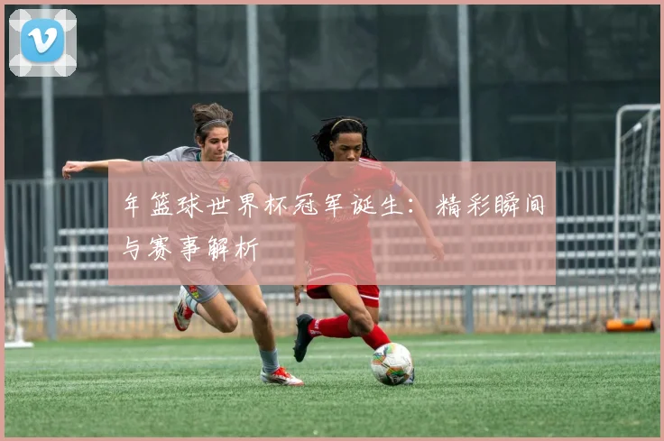 年篮球世界杯冠军诞生:精彩瞬间与赛事解析