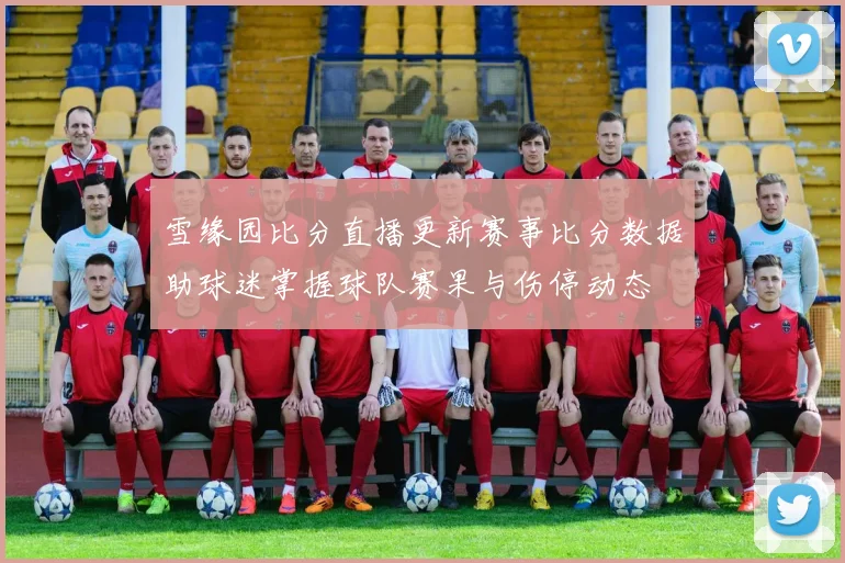 雪缘园比分直播更新赛事比分数据助球迷掌握球队赛果与伤停动态