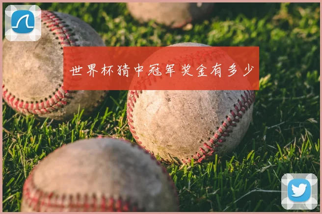 世界杯猜中冠军奖金有多少